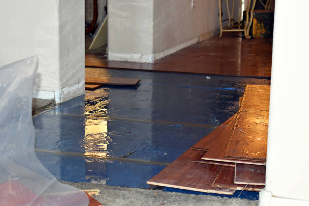 Professional Flood Damage Restoration technician working in Gainesville, TX